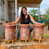 Daily Dump Chomp Single home composter in outdoor balcony saves 430kg from landfill every year
