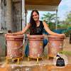 Daily Dump Chomp Single home composter in outdoor balcony saves 430kg from landfill every year