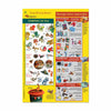 Daily Dump fridge sheet illustrated composting guide to stop mixing waste