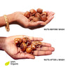 Daily Dump 108 Soapy nuts pack with nuts strewn around on corrugated background