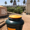 Daily Dump OWC Aaga 550 designed to handle bulk organic waste in communities, apartments in a garden