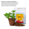 Daily Dump Asha Potting Mix pack of 2 Kg against corrugated background