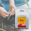 Daily Dump Asha Potting Mix pack of 2 Kg against corrugated background