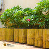 Daily Dump Bamboo leaf composter 32 inches diameter in use in community garden for composting dried leaves with 2 housekeeping staff pressing down to compress pile 