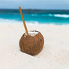 Daily Dump Bamboo straw set 8 inch length with 2 straws and cleaning brush in slim jute pouch