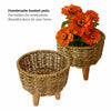 Basket Pot top and side view with yellow flowers on corrugated background