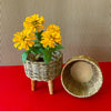 Basket Pot top and side view with yellow flowers on corrugated background