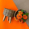 Basket Pot top and side view with yellow flowers on corrugated background