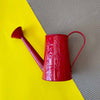 Daily Dump watering can with pattern red for garden accessory