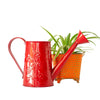 Daily Dump watering can with pattern red for garden accessory