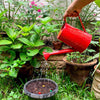 Daily Dump watering can with pattern red for garden accessory
