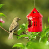 Red hanging metal birdhouse with chain with sparrow in outdoor garden