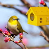 Red hanging metal birdhouse with chain with sparrow in outdoor garden