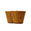 6 inch coir pot with flower and one empty