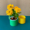 yellow cylindrical small metal pot with flowers