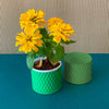 yellow cylindrical small metal pot with flowers