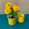 yellow cylindrical small metal pot with flowers