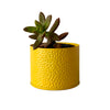 yellow cylindrical small metal pot with flowers