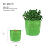 Two Green grow bags with Cocobrick and Seed Balls packet and Compost against corrugated background