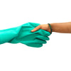 Daily Dump latex free teal gloves in use while handling kitchen waste in Khamba Composter