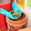 Daily Dump latex free teal gloves in use while handling kitchen waste in Khamba Composter