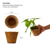 Daily Dump Green Gang Kit with materials and flowers in a coir pot