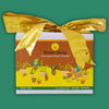 Daily Dump Green Gang Kit with materials and flowers in a coir pot