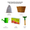 Daily Dump Green Gang Kit with materials and flowers in a coir pot