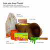 Daily Dump Green Gang Kit with materials and flowers in a coir pot