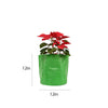 9inch by 9inch green grow bag ideal for small flowering plants, greens and herbs