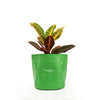 9inch by 9inch green grow bag ideal for small flowering plants, greens and herbs
