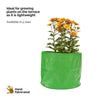 9inch by 9inch green grow bag ideal for small flowering plants, greens and herbs