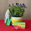 Yellow pot with plate trowel Beej Ball and Compost pack on corrugated background