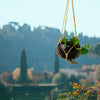 Black hanging pot with flower against corrugated background