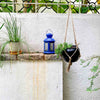 Black hanging pot with flower against corrugated background