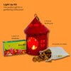 Daily Dump Light Up Kit with Round Bird Cage and Seed Balls box