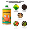Daily Dump Panchagavya 1 litre bottle with background of tomato plants with healthy red tomatoes