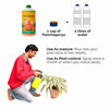 Daily Dump Panchagavya 1 litre bottle with background of tomato plants with healthy red tomatoes