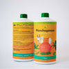 Daily Dump Panchagavya 1 litre bottle with background of tomato plants with healthy red tomatoes