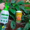 Daily Dump Panchagavya 1 litre bottle with background of tomato plants with healthy red tomatoes