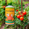 Daily Dump Panchagavya 1 litre bottle with background of tomato plants with healthy red tomatoes