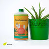 Daily Dump Panchagavya 1 litre bottle with background of tomato plants with healthy red tomatoes