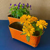 set of 2 long teal metal pots with plants ideal for indoor and outdoor use