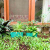 set of 2 long teal metal pots with plants ideal for indoor and outdoor use