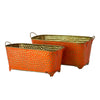 set of 2 long teal metal pots with plants ideal for indoor and outdoor use