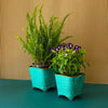 2 square metal pots with texture in orange colour with flowers from Daily Dump