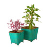 2 square metal pots with texture in orange colour with flowers from Daily Dump