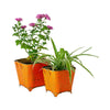 2 square metal pots with texture in orange colour with flowers from Daily Dump