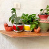 Daily Dump red round metal planter 5.5 inch with white plates with flowers
