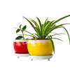 Daily Dump red round metal planter 5.5 inch with white plates with flowers